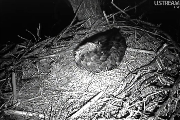 ScreenHunter_01 Mar. 23 06.33.jpg